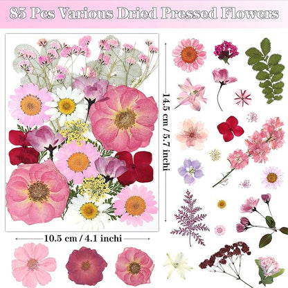 85Pcs Pink Dried Flowers for Crafts, Natural Pressed Flowers for Crafts Real Dried Pressed Flowers Dry Leaves for Resin, DIY Art, Scrapbook, Nails Decor, Jewelry, Candle & Soap Making, with Tweezers