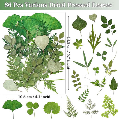86Pcs Dried Pressed Flowers Leaves for Crafts, Real Natural Dried Leaves Pressed Leaves Bulk Dry Leaves for Resin, DIY Art, Jewelry, Candle & Soap Making, Scrapbook Bookmarks Ideas – Tweezers Included