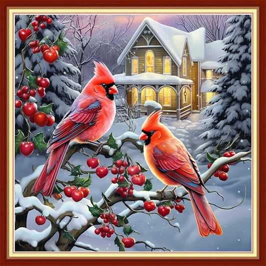 DMCVIVR Stamped Cross Stitch Kits for Beginners Adults Needlepoint Kits for Beginners Embroidery Kits for Adults Crossstitch Kit for Beginners 11CT-Two parrotbirds 18x18 inchs