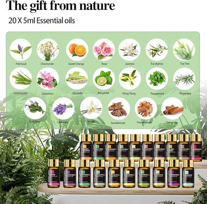 MAYJAM Tea Tree 20 Pcs Pure Essential Oil Gift Set, for Diffuser, Humidifiers, Skin Care, Massage, Fragrance Oil Scent for DIY Candle and Soap Making, Gift for Friend (5ML)