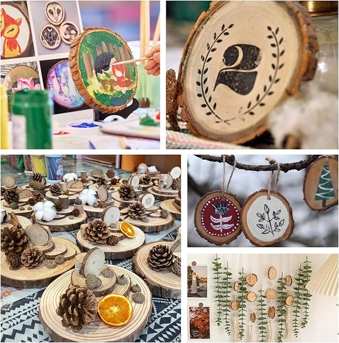 30 Pack Nature Wood Slices for Crafts,3.5-4In Unfinished Natural Wood Rounds.Wood Circles Predrilled with Hole and 20m Rope for Wooden Craft Supplies,Painting,Christmas Ornaments,DIY Gifts