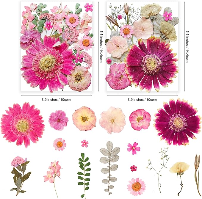 120pcs Real Nature Dried Pressed Flowers for Resin Craft, Dry Pressing Floral with Butterfly Stickers Set for DIY Jewelry Making Nail Card Scrapbook Art Tranquility