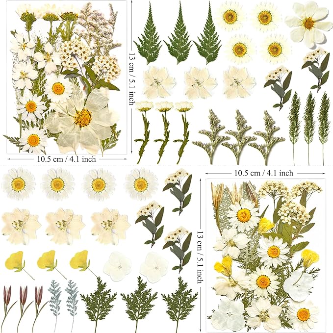 90Pcs White Dried Pressed Flowers for Resin Molds, Real Natural Bulk Dry Floral Leaves for DIY Art Crafts, Epoxy Jewelry, Candle, Soap Making, Nails Decors Gifts