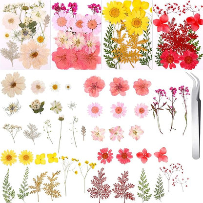 Nuanchu 109 Pieces Dried Pressed Flowers for Resin, Real Pressed Blooms Leaves Mixed Variety of Dried Flora with Tweezer for DIY Art Crafts Scrapbooking, Candle, Nails Decor, Soap Making