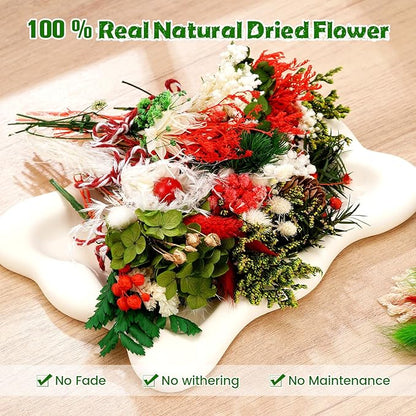 10/12/24/36 Pack Mini Dried Flowers for Vase Wedding Various Mini Bouquet Dried Small Wildflowers Natural Flowers Bulk for Crafts DIY Decor (12, Christmas Color)