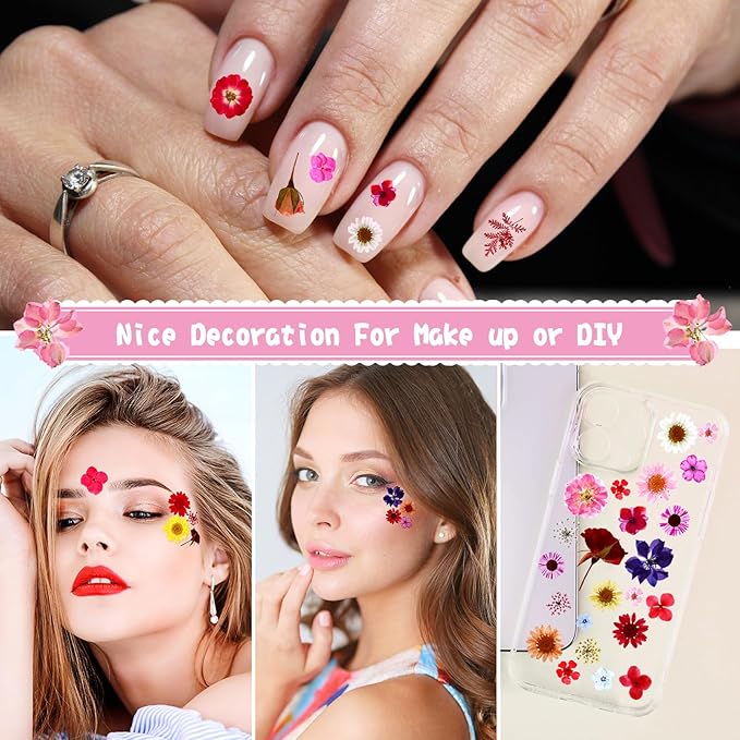 Nuanchu 167 Pcs Real Dried Pressed Flowers Natural Dried Flowers Colorful Daisy Mixed Wildflowers Leave for DIY Candle Resin Nails Jewelry Pendant Crafts Floral Art(Red,Vivid Style)