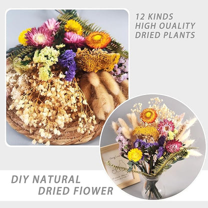 DIY Natural Dried Flowers Kit for Crafts - Box of Dried Flower Kit Perfect for Home Decor, Wedding Decor, DIY Wreath & Bouquet, Resin, Scrapbooking, Floral Arrangement, Handcraft (Multi-Color)