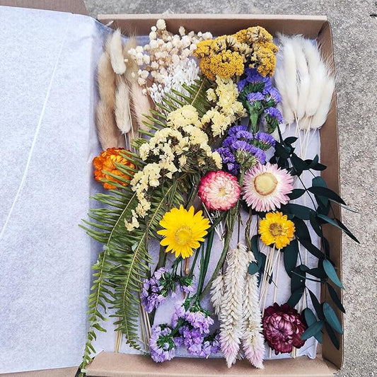 DIY Natural Dried Flowers Kit for Crafts - Box of Dried Flower Kit Perfect for Home Decor, Wedding Decor, DIY Wreath & Bouquet, Resin, Scrapbooking, Floral Arrangement, Handcraft (Multi-Color)