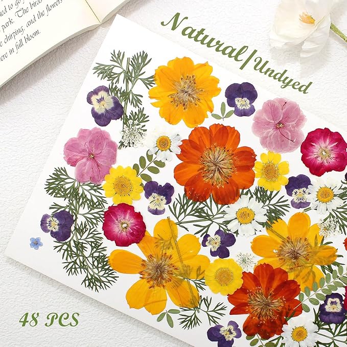 48 Pcs Mix Natural Dried Pressed Flowers for Cake Decorating, Real Dry Flower for Resin Jewelry Making, DIY Art Crafts - Muticolor