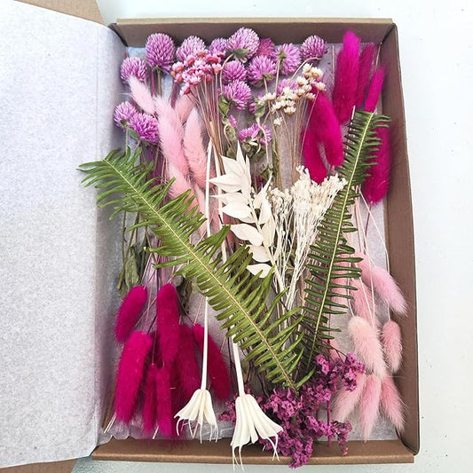 DIY Natural Dried Flowers Kit for Crafts - Box of Multi-Color Dried Flower Kit Perfect for Home Decor, Wedding Decor, DIY Wreath & Bouquet, Resin, Scrapbooking, Floral Arrangement, Handcraft (Purple)