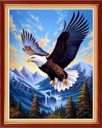 Foxhool Stamped Cross Stitch Kits,11CT Printed Cross Stitch Pattern Full Embroidery Kits for Beginner Needlepoint Kits-Eagle Soaring 16x20 inchs