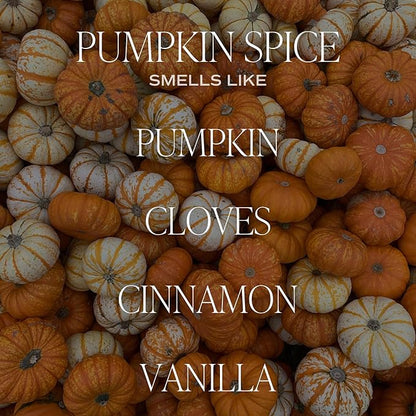 Sweet Water Decor Pumpkin Spice Reed Diffuser Set for Home - Pumpkin, Cloves, Cinnamon, Vanilla Scented Reed Diffusers for Fall - Air Freshener Lasts 4+ Months, Made in The USA