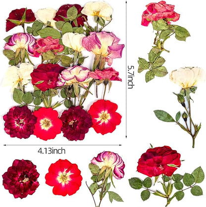 16 Pcs Dried Pressed Flowers, Nauture Pressed Rose, Multi Color Dry Rose, Real Pressed Flora for DIY Jewelry Candle Soap Vase Making Nail Card Scrapbook Art Craft Floral Decors