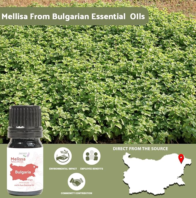 Nature Packaged Melissa Essential Oil - Direct from Bulgarian Sustainable Farms - Steam Distilled - Aceite Toronjil for Aromatherapy, Massage, Diffuser, DIY Candle and Soap Making - 5ml