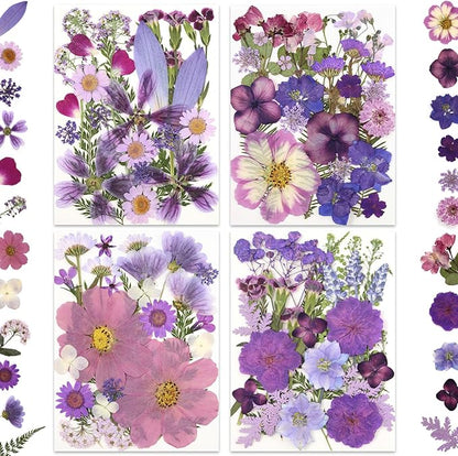 100P Purple Pressed Flowers – Real Dried Flowers for Crafts in Rich Violet Tones, Ideal for Resin Art, DIY Projects, Jewelry & Candle Making – Tweezers Included