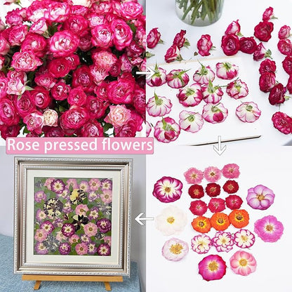 22Pcs Rose Dried Pressed Flowers for Crafts,Xinxinran Dry Flowers Kit for Cake Decorating,Resin Molds,Bookmark,Jewelry Molds,Candle Making Supplies,Soap,Frame(12 Types)
