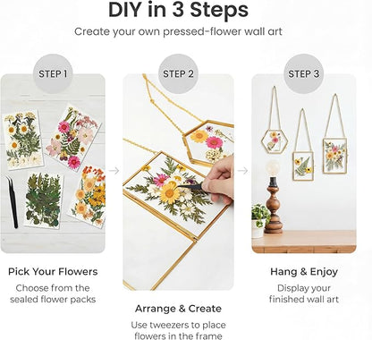Relaxing Garden Pressed Flower Craft Kit for Adults & Women, DIY Floating Double Glass Frame Kit with Real Dried Flowers, Handmade Gift Art Project for Home Décor, Keepsake & Creative Crafts