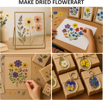 MeRGBWLife Large Flower Press Kit for Adults – 10.8"x6.9" Wooden 6-Layer Flower Press for Pressed Flowers, Herbs & Leaves, DIY Flower Preservation for Bookmarks, Weddings, and Craft Projects