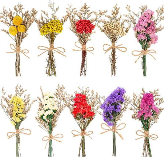 10 Pack Forget Me Not Dried Flowers Bouquets Natural Dry Flower with Stem Mini Dried Embossing Flower Dry Floral Arrangement for Vase, Crafts, Table Centerpieces, DIY, Photo Prop, Wedding, Home Decor