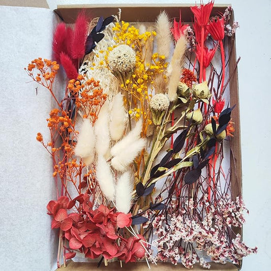 DIY Natural Dried Flowers Kit for Crafts - Box of Multi-Color Dried Flower Kit Perfect for Home Decor, Wedding Decor, DIY Wreath & Bouquet, Resin, Scrapbooking, Floral Arrangement, Handcraft (Red)