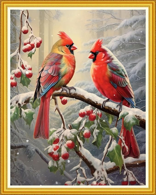 DMCVIVR Stamped Cross Stitch Kits for Beginners Adults Needlepoint Kits for Beginners Embroidery Kits for Adults Crossstitch Kit for Beginners 11CT-Bird Snow Scenery 16x20 inch