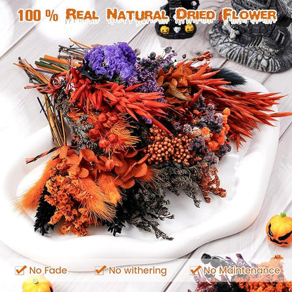 10/12/24/36 Pack Mini Dried Flowers for Vase Wedding Various Mini Bouquet Dried Small Wildflowers Natural Flowers Bulk for Crafts DIY Decor (12, Orange Black 1)