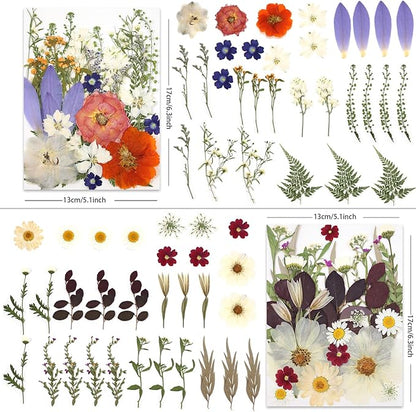 120P 4-Color Mixed Foliage Dried Flowers for Crafts, Real Natural Pressed Flowers for Resin Art, DIY Crafts, Jewelry & Candle Making – Tweezers Included