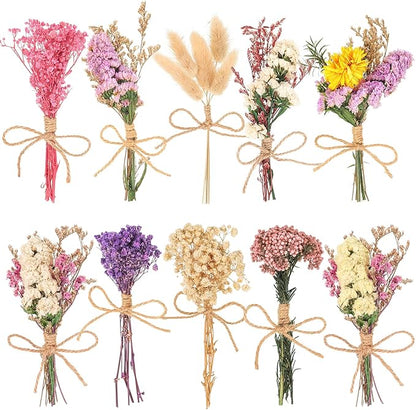 10 Pack Pro Size Dried Flower Bouquets Various Natural Dried Flower Combinations with Stem Dried Embossing Flower Dry Floral Arrangement for Vase, Carfts, DIY, Wedding, Home Decor (Pro)