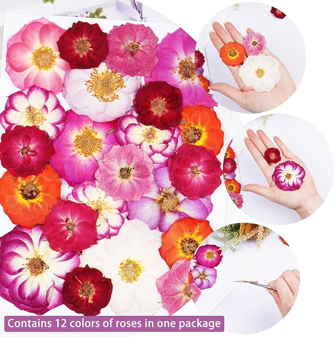 22Pcs Rose Dried Pressed Flowers for Crafts,Xinxinran Dry Flowers Kit for Cake Decorating,Resin Molds,Bookmark,Jewelry Molds,Candle Making Supplies,Soap,Frame(12 Types)