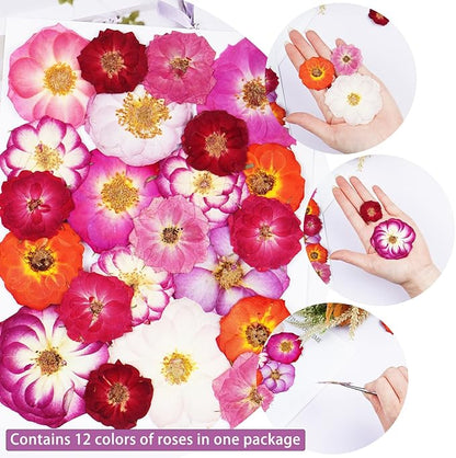 22Pcs Rose Dried Pressed Flowers for Crafts,Xinxinran Dry Flowers Kit for Cake Decorating,Resin Molds,Bookmark,Jewelry Molds,Candle Making Supplies,Soap,Frame(12 Types)