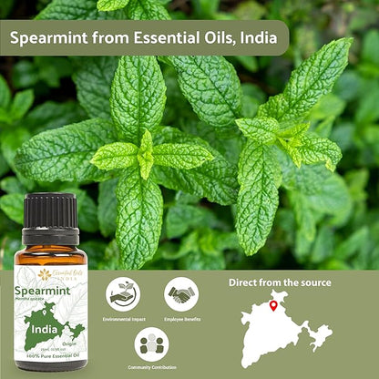 Nature Packaged Spearmint Essential Oil - Direct from Essential Oils India - Steam Distilled - Aceite Esencial de Menta Verde for Aromatherapy, Massage, Diffuser, DIY Candle and Soap Making - 8oz