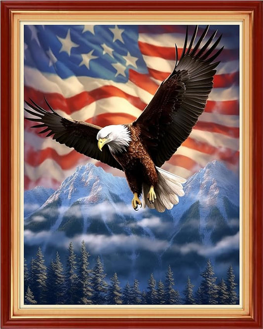Foxhool Stamped Cross Stitch Kits,11CT Printed Cross Stitch Pattern Full Embroidery Kits for Beginner Needlepoint Kits-Eagle Flag 16x20 inchs