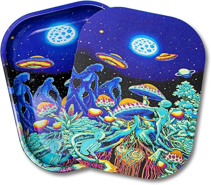 Small Metal Trays with PVC Soft Magnetic Lid Metal Tray with Lid Cover Small Cute Decorative Tray Ideal Storage for Home or on The Go, 7" x 5.5"