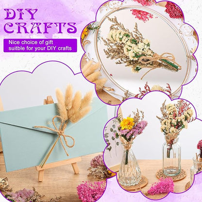 10 Pack Pro Size Dried Flower Bouquets Various Natural Dried Flower Combinations with Stem Dried Embossing Flower Dry Floral Arrangement for Vase, Carfts, DIY, Wedding, Home Decor (Pro)