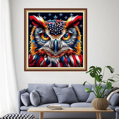 Funchey Stamped Cross Stitch Kits, DIY Cross Stitch Pattern for Adults Beginners Needlepoint Kits Embroidery Kit Arts and Crafts 11CT-National Flag Owl 18x18 inchs