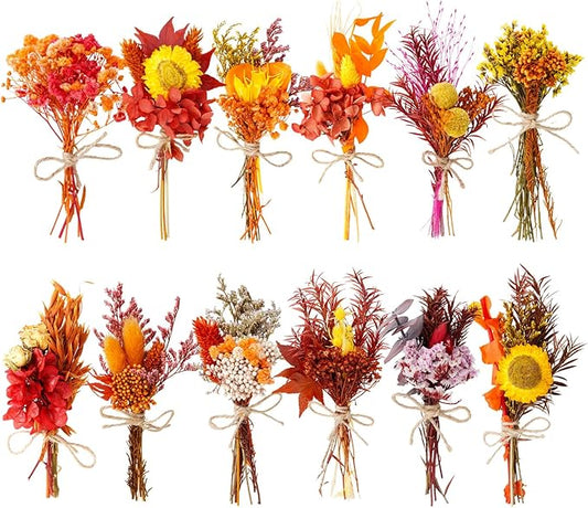 10/12/24 Pack Dried Flowers for Vase Various Mini Bouquet Dried Small Wildflowers Natural Real Flowers Bulk for Crafts DIY Wedding Decor (12, Autumn Color)