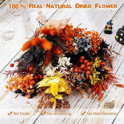 10/12/24/36 Pack Mini Dried Flowers for Vase Wedding Various Mini Bouquet Dried Small Wildflowers Natural Flowers Bulk for Crafts DIY Decor (12, Orange Black 2)