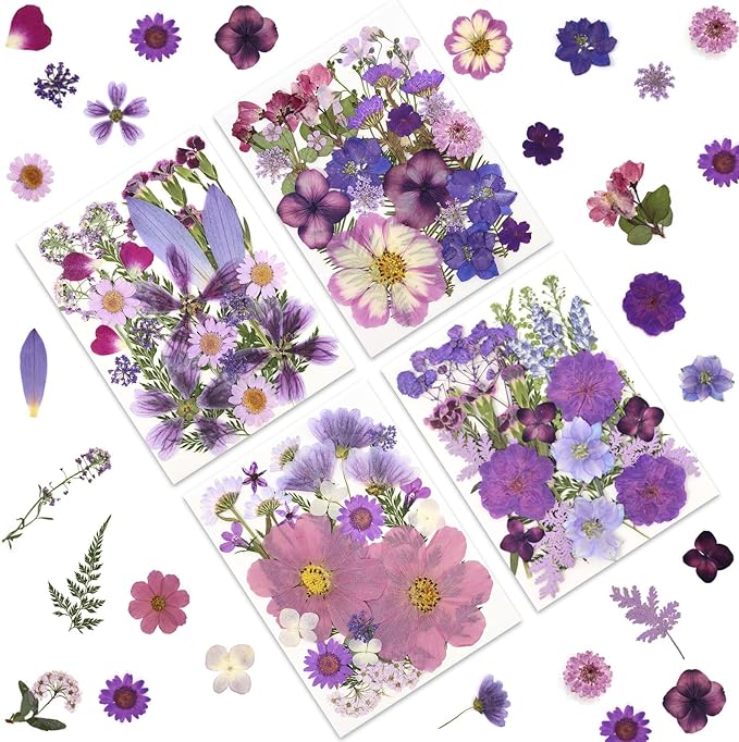 100P Purple Pressed Flowers – Real Dried Flowers for Crafts in Rich Violet Tones, Ideal for Resin Art, DIY Projects, Jewelry & Candle Making – Tweezers Included