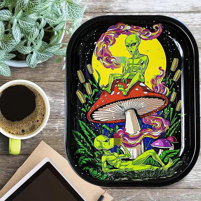 Small Metal Trays with PVC Soft Magnetic Lid Metal Tray with Lid Cover Small Cute Decorative Tray Ideal Storage for Home or on The Go, 7" x 5.5"