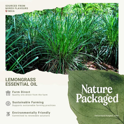 Nature Packaged Lemongrass Essential Oil - Natural Aceite de Hierba Limón from Norex Flavours India - Lemongrass Essential Oils for Hair, Aromatherapy and Massage (2lbs)