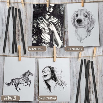 Gueevin 100 Pcs Willow Charcoal Sticks, Willow Charcoal, Artists, Beginners, Students, Perfect for Sketching, Drawing, Shading, and Fine Art Christmas Gifts for Art (7-9mm)