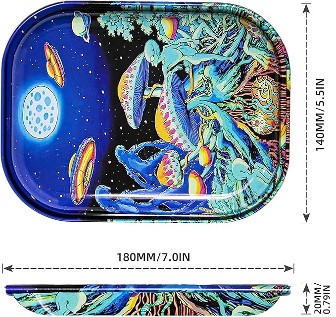 Small Metal Trays with PVC Soft Magnetic Lid Metal Tray with Lid Cover Small Cute Decorative Tray Ideal Storage for Home or on The Go, 7" x 5.5"