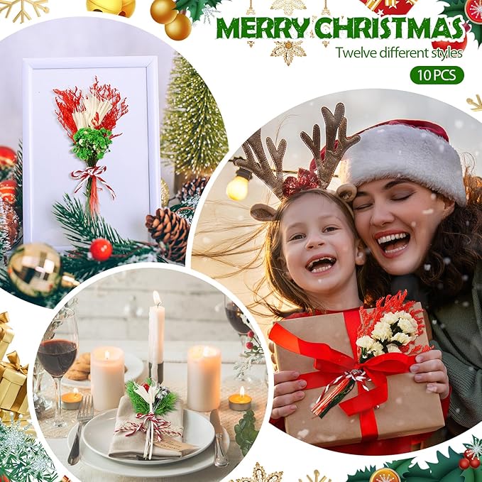 10/12/24 Pack Dried Flowers for Vase Various Mini Bouquet Dried Small Wildflowers Natural Real Flowers Bulk for Crafts DIY Wedding Decor (10, Christmas Color1)