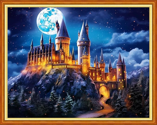 Dimxvean Stamped Cross Stitch Kits,Cross Stitch Kits for Adults Beginners,Embroidery Kits Full Range of Cross Stitch Stamped Kits Needlepoint Kits Cross Stitch Patterns-Colorful Castle 16x20 inch