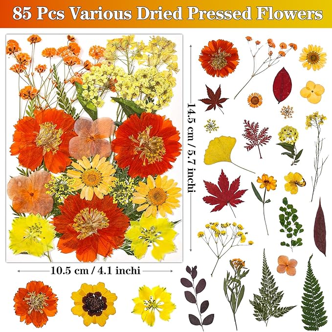 85Pcs Fall Dried Flowers for Crafts, Natural Pressed Flowers for Crafts Real Dried Pressed Flowers Dry Leaves in Orange & Yellow for Resin, DIY Art, Scrapbook, Jewelry, Candle & Soap Making w/ Tweezer