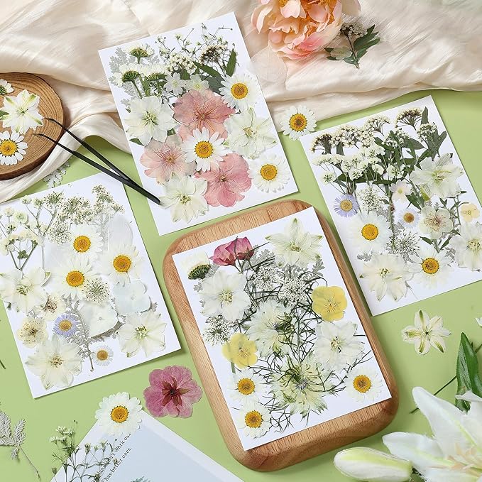 86Pcs Dried Flowers for Crafts, Real Pressed Flowers for Crafts Dried Pressed Flowers Dry Leaves in White, Pink & Yellow Tones for Resin, DIY Art, Scrapbook, Jewelry, Candle & Soap Making with Tweezer