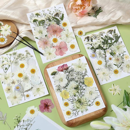 86Pcs Dried Flowers for Crafts, Real Pressed Flowers for Crafts Dried Pressed Flowers Dry Leaves in White, Pink & Yellow Tones for Resin, DIY Art, Scrapbook, Jewelry, Candle & Soap Making with Tweezer