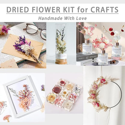 DIY Natural Dried Flowers Kit for Crafts - Box of Dried Flower Kit Perfect for Home Decor, Wedding Decor, DIY Wreath & Bouquet, Resin, Scrapbooking, Floral Arrangement, Handcraft (Multi-Color)