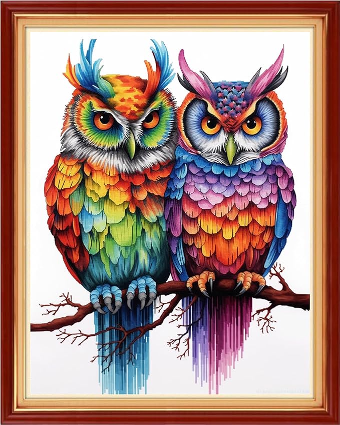 Foxhool Stamped Cross Stitch Kits,11CT Printed Cross Stitch Pattern Full Embroidery Kits for Beginner Needlepoint Kits-Two Colorful Owls 16x20 inch