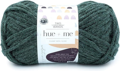 Lion Brand Yarn, Hue + Me Chunky Yarn for Crocheting, Knitting, and Crafts, Juniper, 1 Pack